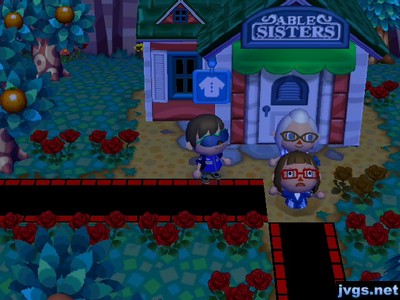 Yann falls into a pitfall outside of Able Sisters.