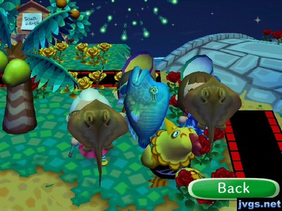 Egbert applauds the fireworks while standing right by our large fish we're showing off.