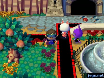 A white cat (Blanca) and a purple cat (Bob) standing near my fountain.