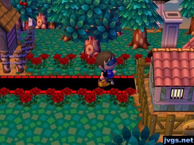 A house blocking my path.