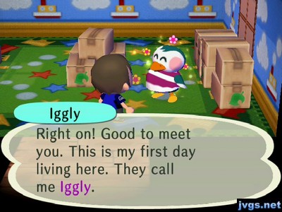 Iggly: Right on! Good to meet you. This is my first day living here. They call me Iggly.
