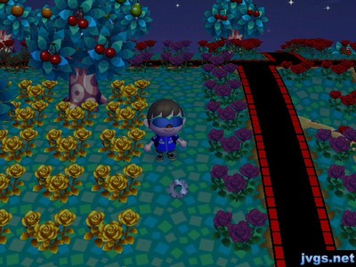 Gulliver's spaceship part on the ground.