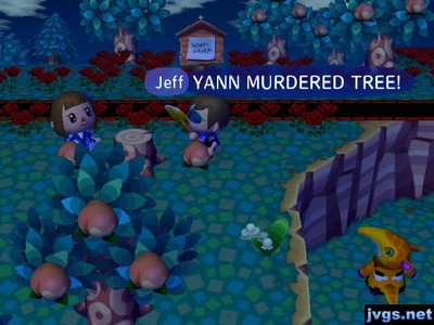 Jeff: YANN MURDERED TREE!