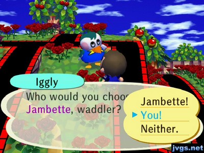 Iggly: Who would you choose, me or Jambette, waddler?