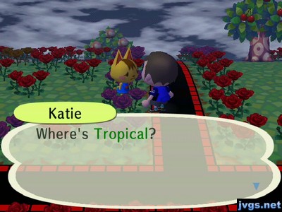 Katie: Where's Tropical?