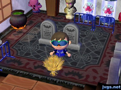 The wheat bundle on display in my house.