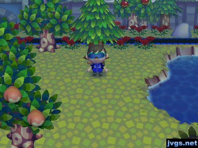 An ugly, yellow shade of grass.