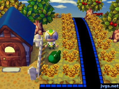 Jambette stuck in a pitfall.