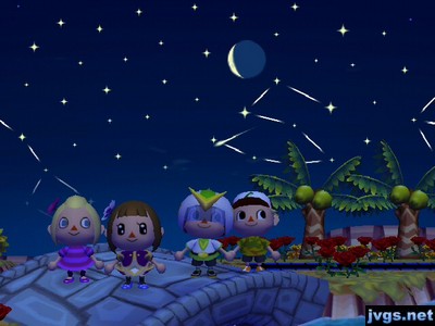 Megan, Yann, Jeff, and Jon stand on the bridge to watch the meteor shower.