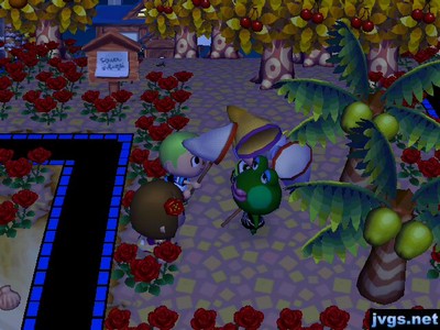 Attacking Jambette with our nets.