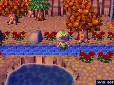 My blue brick path in Forest.