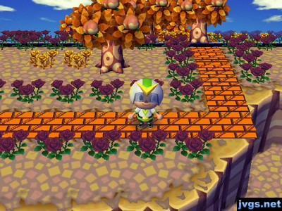 My orange and brown brick path in Forest.