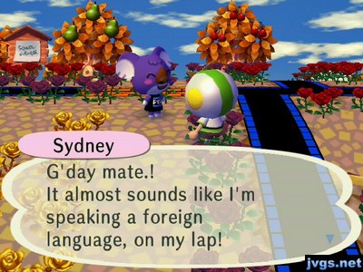 Sydney: G'day mate! It almost sounds like I'm speaking a foreign language, on my lap!