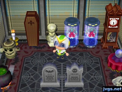 The office wall on display in my house.