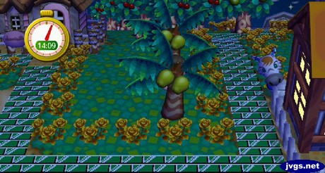 Savannah peeks out from behind Scott's house.