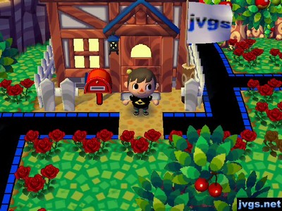 The view from my house, with green grass and trees as spring arrives.