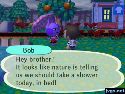 Bob: Hey brother! It looks like nature is telling us we should take a shower today, in bed!