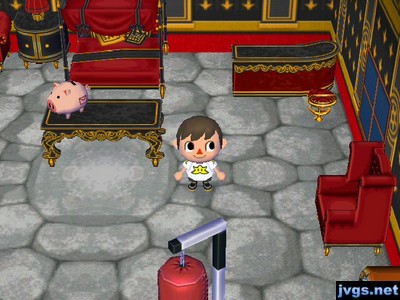 A basement floor on display in my house.