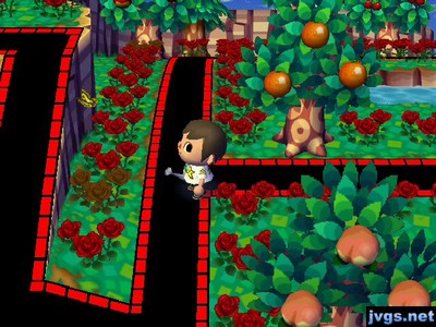 A tiger butterfly hopelessly flying into a cliff.