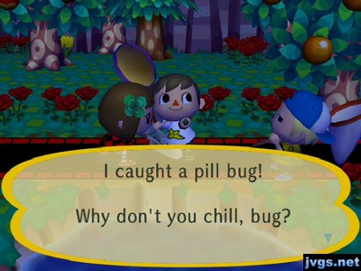 I caught a pill bug! Why don't you chill, bug?