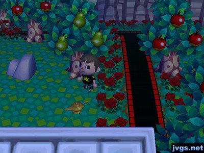 Finding an empty lamp on the ground behind Nook's shop.