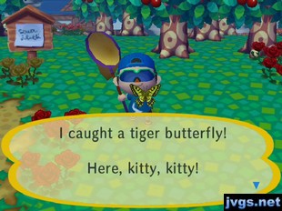 I caught a tiger butterfly! Here, kitty, kitty!