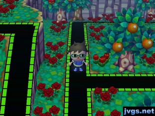 My green/black paths on the ground in Forest.