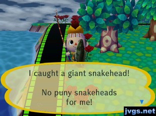 I caught a giant snakehead! No puny snakeheads for me!