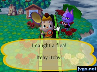 I caught a flea! Itchy itchy!