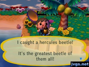 I caught a hercules beetle! It's the greatest beetle of them all!
