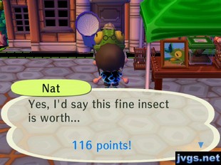 Nat: Yes, I'd say this fine insect is worth... 116 points!
