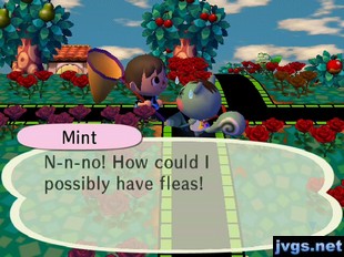 Mint: N-n-no! How could I possibly have fleas!
