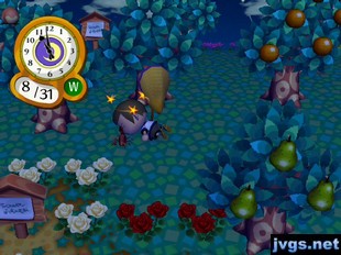 Jeff passes out after being attacked by a scorpion.