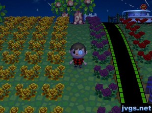 The new green shade of grass for late September.