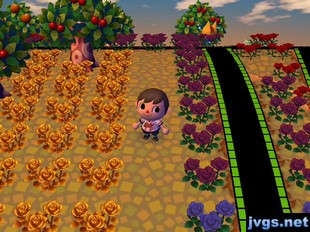 The new grass color for early October.