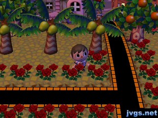 My black and orange path through town.