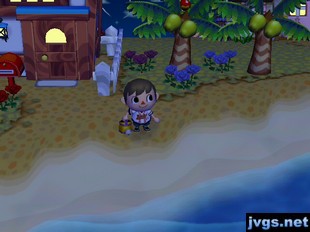 A new black rose I found near my two blue roses.