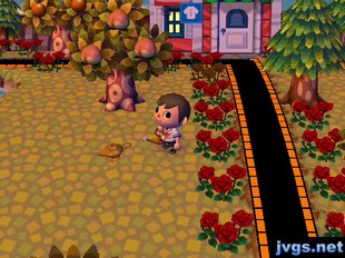 An empty lamp on the ground in Animal Crossing: City Folk.