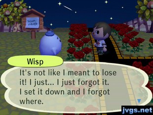 Wisp: It's not like I meant to lose it! I just... I just forgot it. I set it down and I forgot where.