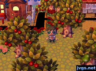 Jeff wearing some pilot shades in Animal Crossing: City Folk (ACCF) for Nintendo Wii.