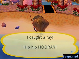 I caught a ray! Hip hip HOORAY!