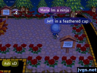 Maria: I'm a ninja. Jeff: In a feathered cap.