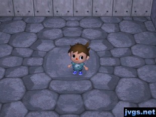 Scott stands in his empty basement in Animal Crossing: City Folk.