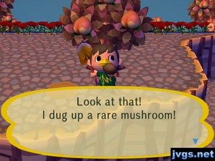 Look at that! I dug up a rare mushroom!