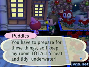 Puddles: You have to prepare for these things, so I keep my room TOTALLY neat and tidy, underwater!