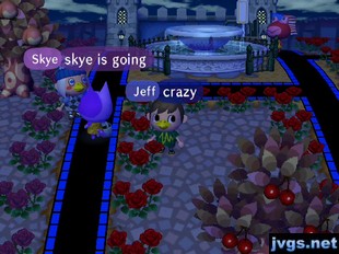 Skye: Skye is going. Jeff: Crazy.