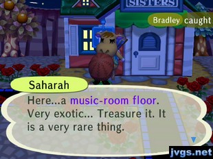 Saharah: Here...a music-room floor. Very exotic... Treasure it. It is a very rare thing.