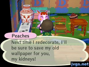 Peaches: Next time I redecorate, I'll be sure to save my old wallpaper for you, my kidneys!