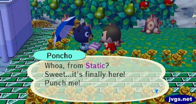Poncho: Whoa, from Static? Sweet...it's finally here! Punch me!