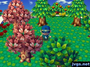 Two pink trees in my town (Animal Crossing: City Folk).